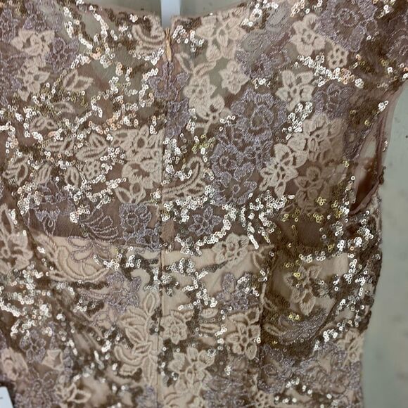 #701 ALEX EVENINGS PETITE nwt Mother of bride/groom gown - Picture 6 of 12